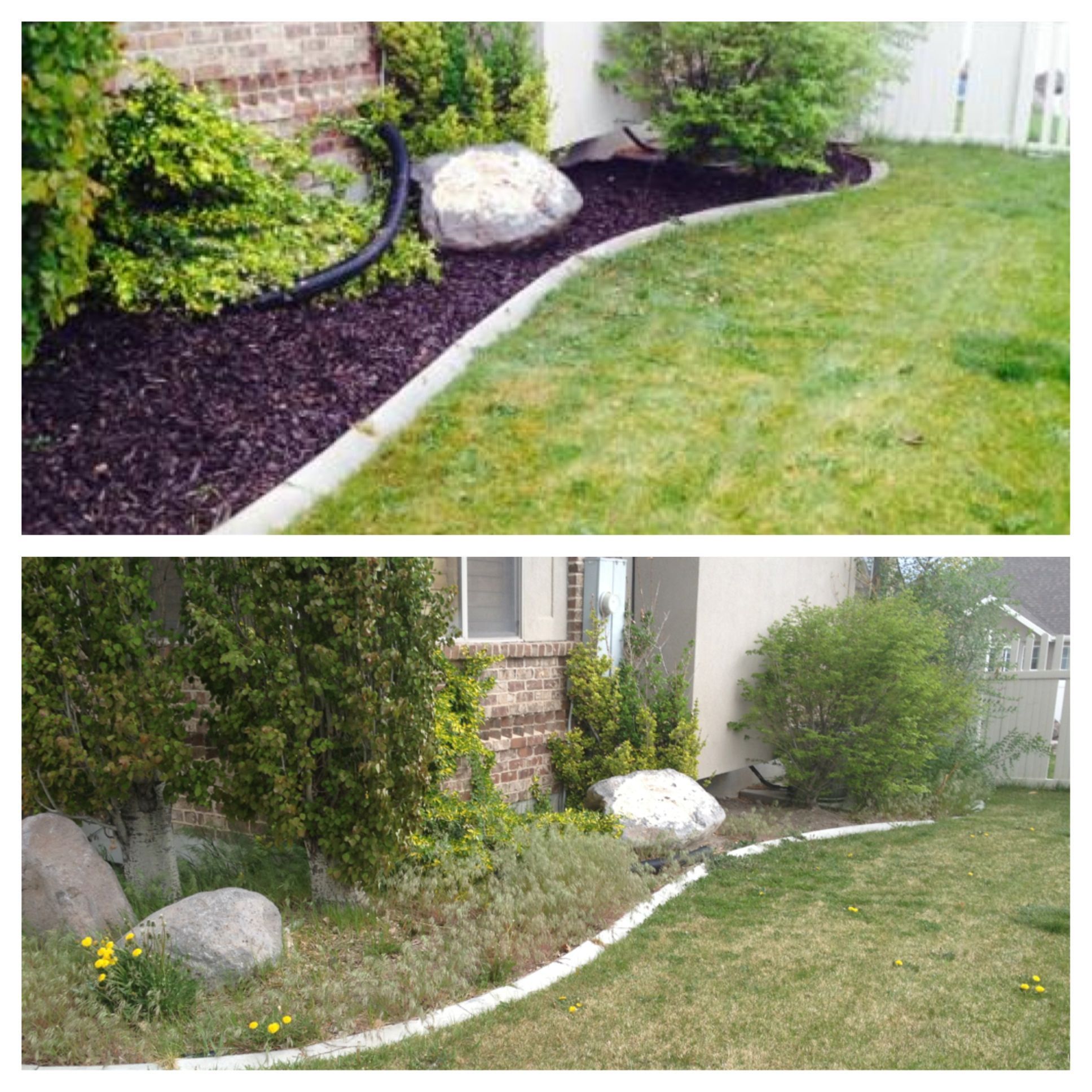 Before and after garden bed refresh — mulch and edging