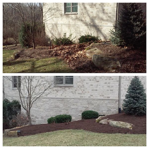 Before and after spring cleanup — leaves and debris cleared, beds refreshed