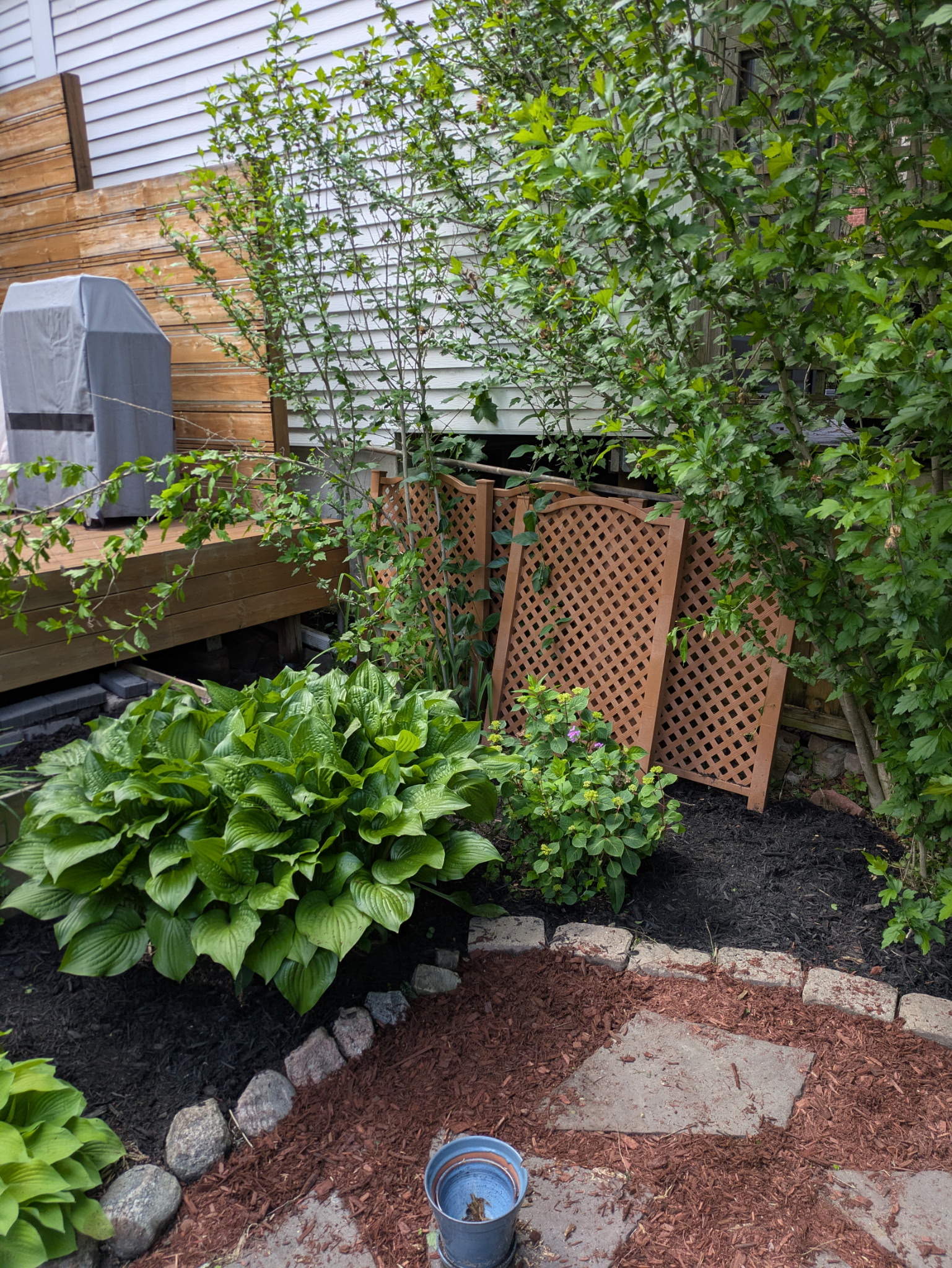 Cleaned garden bed with fresh mulch and clear stepping stones