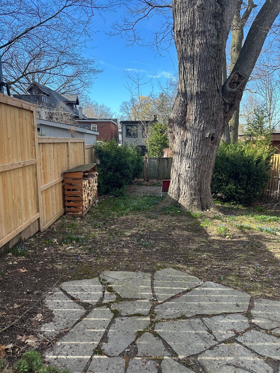 Messy backyard with debris before spring cleanup